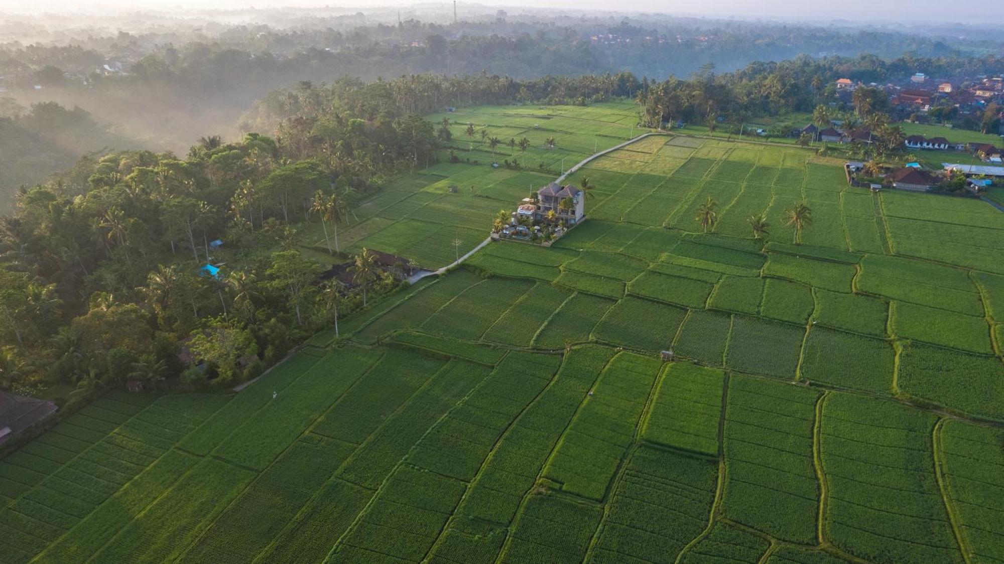 The Nenggala Suite Tegallalang  Bagian luar foto