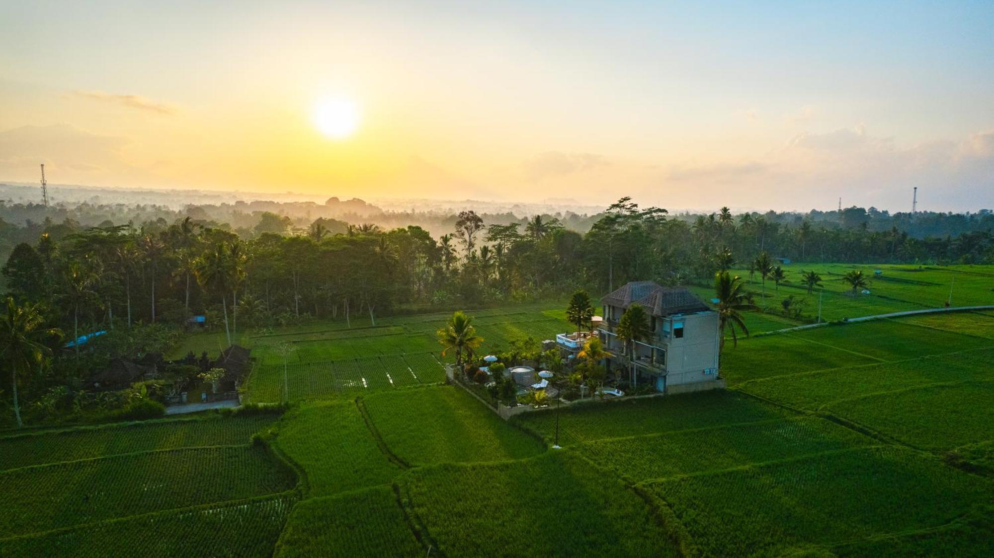 The Nenggala Suite Tegallalang  Bagian luar foto